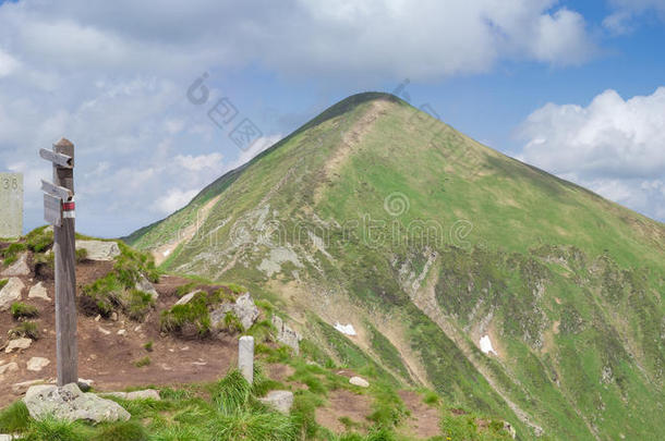 阿尔卑斯山喀尔巴阡山林间空地草徒步旅行