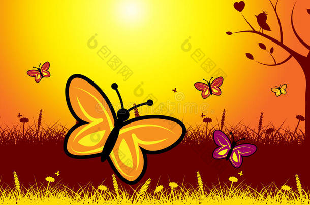 夏天的蝴蝶表示温暖、炎热和蝴蝶