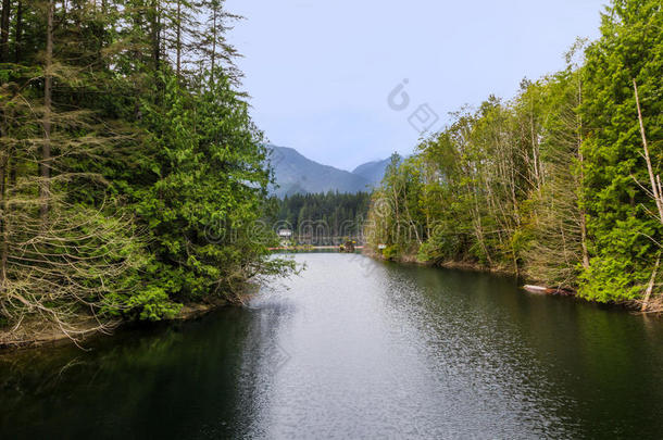 山水山水