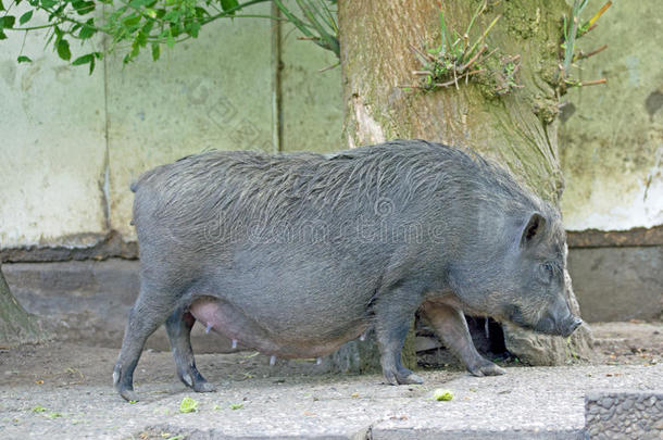 哪里<strong>都是你</strong>