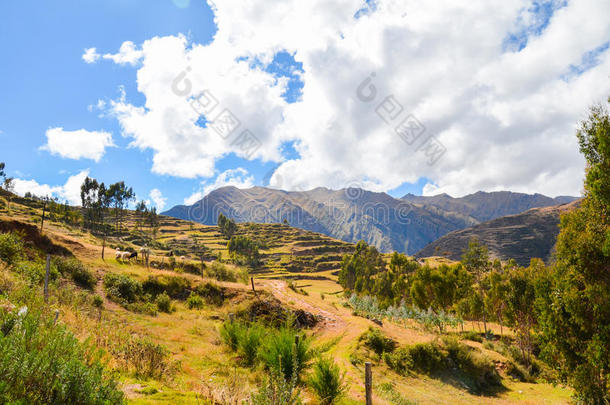 钦切罗，秘鲁-2013年6月3日：一个传统的印加农业梯田的景观