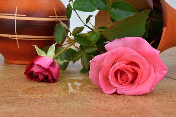 倾覆的花瓶和玫瑰。 水从花瓶里漏出来了。 瓷砖上的花瓶。