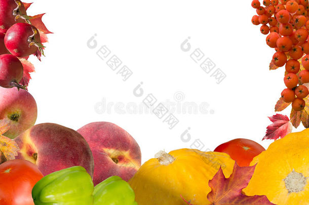 带水果和叶子的秋季拼贴卡片