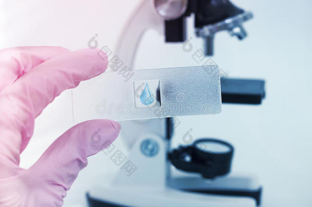 科学家在显微镜幻灯片的实验室显微镜中的特写