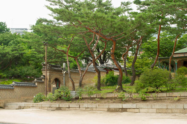 首尔的德松宫有树