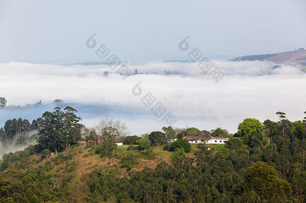 云雾迷蒙的山谷丘陵农田