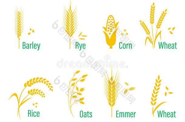 谷物图标设置大米，小麦，玉米，燕麦，黑麦，大麦。