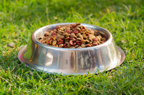 特写金属碗与新鲜狗粮坐在绿草上，动物营养概念