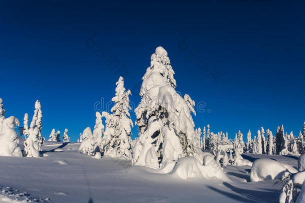 美丽的冷山观滑雪胜地，阳光明媚的冬日