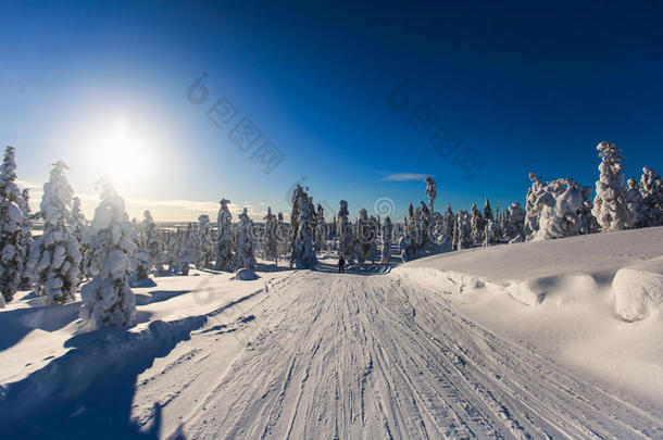 美丽的冷山观滑雪胜地，阳光明媚的冬日机智