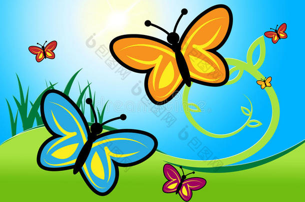 夏天的蝴蝶表示温暖、温暖和夏天