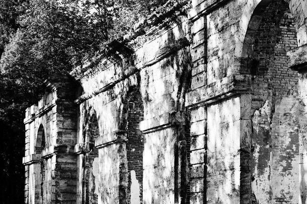 <strong>黑白</strong>照片破旧<strong>建筑</strong>林业温室在宫殿公园<strong>建筑</strong>日期18世纪，俄罗斯加奇纳。