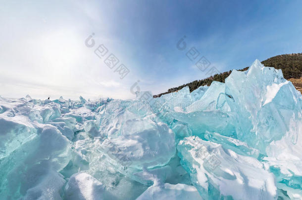 360度北极的亚洲黄芩贝加尔湖