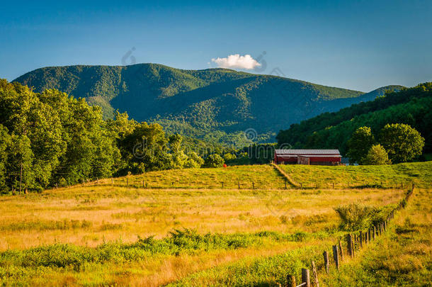 弗吉尼亚州谢兰多亚山谷乡村的农田和远山景观。