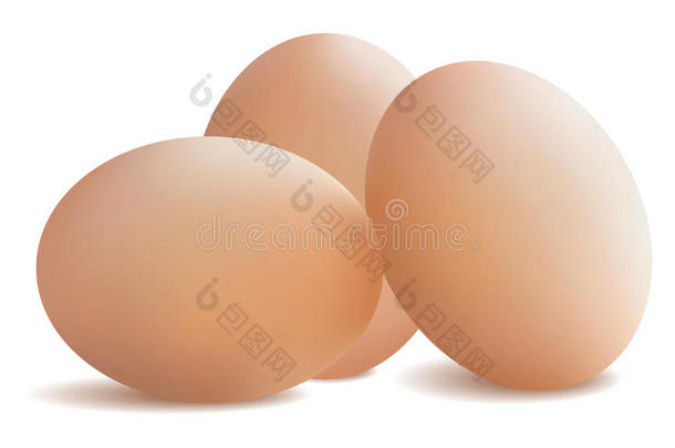新鲜鸡蛋。 矢量插图。