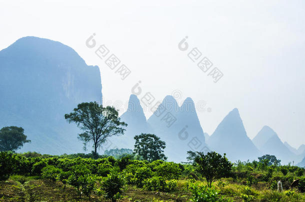 春天美丽的喀斯特乡村风景