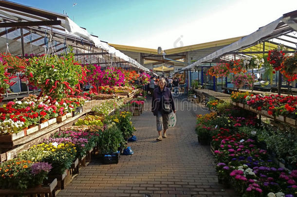 拉脱维亚的花卉市场