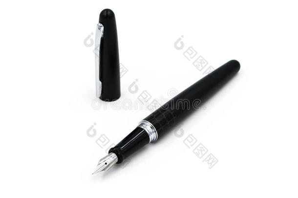 黑色钢笔和<strong>鳄鱼</strong>纹