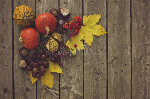 秋天的背景与秋天果实的构成。