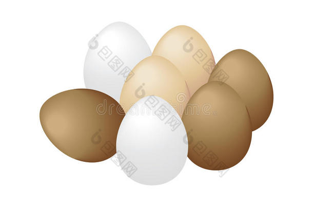 鸡蛋在白色背景上，鸡蛋在白色上分离。