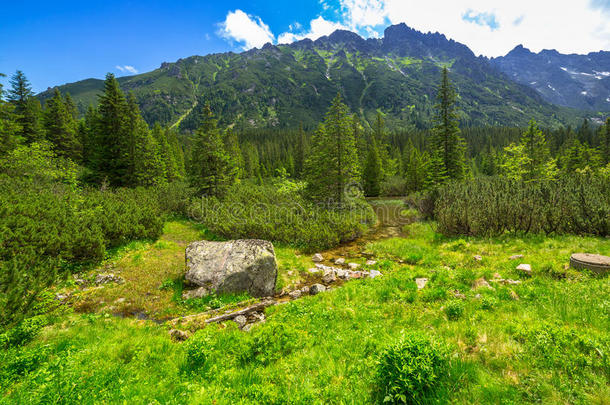 波兰塔特拉山的<strong>美丽风景</strong>