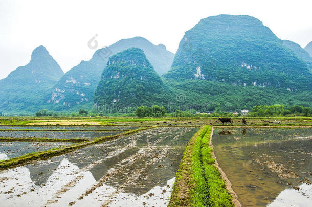 春天美丽的喀斯特山和乡村风景