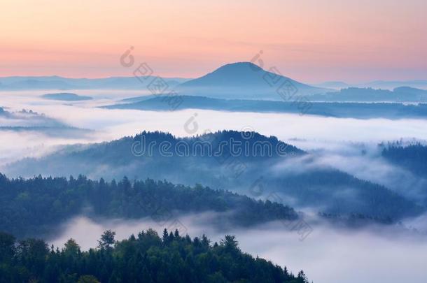 秋天的风景。 温柔的薄雾，壮丽的秋霜雾以上的森林。 高山从雾中增加
