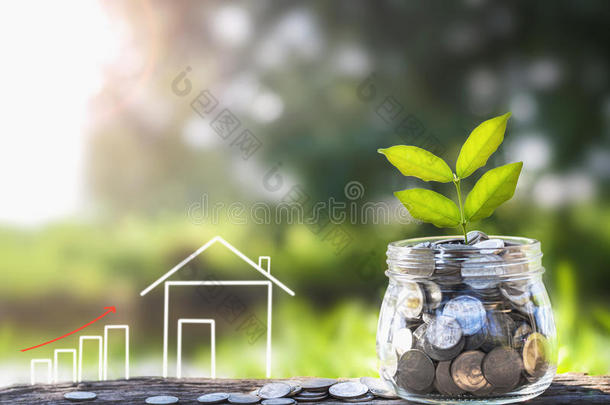 种植金钱和植物，省钱的概念，金融储蓄的概念购买房子