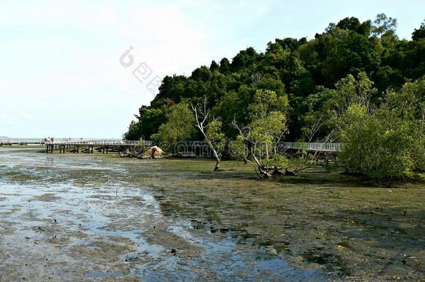 赤川湿地保护区