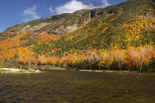 在白山<strong>中</strong>的骶湖上灿烂的落叶。