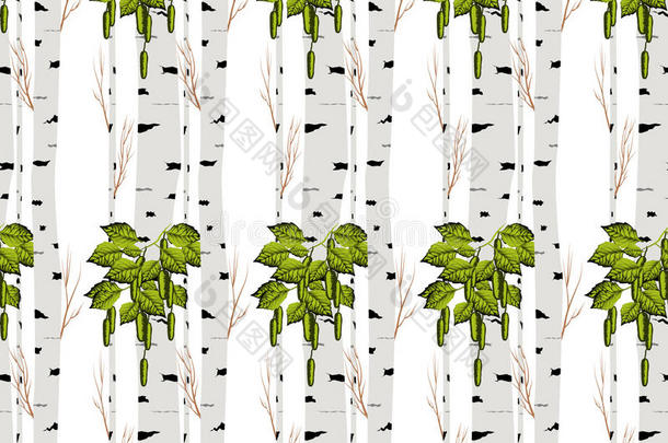 桦树。无pattern.vector.fabricdesign元素壁纸，网站背景，婴儿淋浴邀请，生日卡