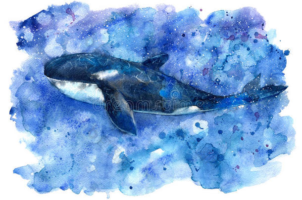 大蓝鲸和水。