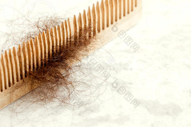 木梳上的头发
