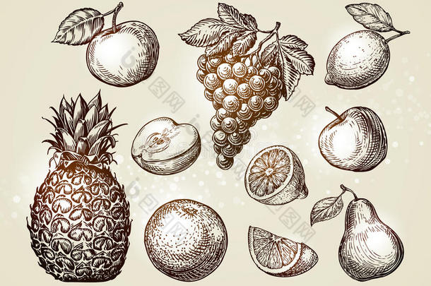 收集<strong>水果</strong>草图。 <strong>手绘</strong>元素，如苹果，菠萝，梨，葡萄，橘子，柠檬。 矢量插图