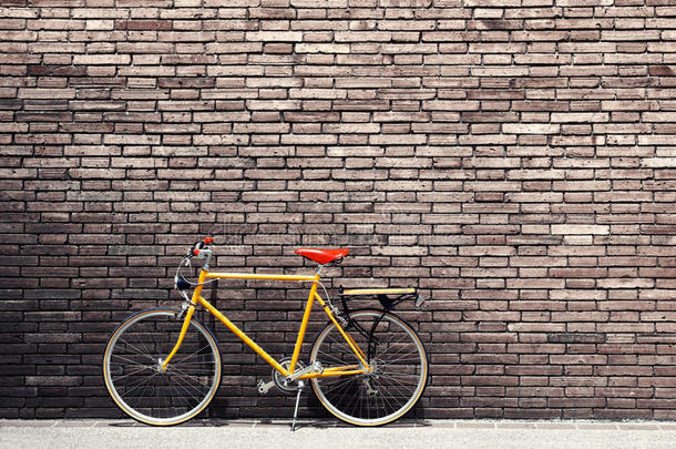 建筑学背景美女自行车黑色