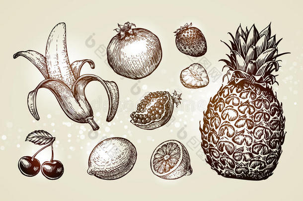 收集食物草图。 手绘水果，如香蕉，石榴，草莓，柠檬，樱桃，菠萝。 矢量