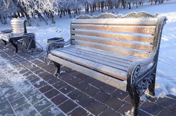 冬天在城市公园里的冷冻长凳
