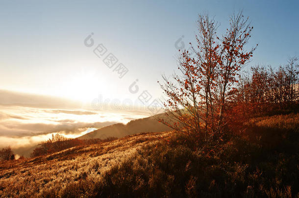 秋三背景令人惊叹的风景如画的喀尔巴阡山脉在雾和早晨日出。 世界之美