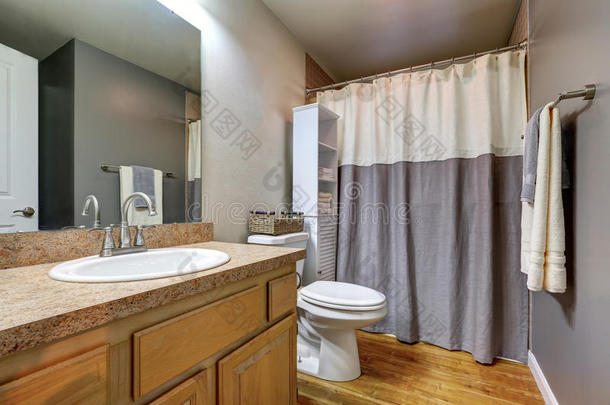 浴室内部与硬木地板在公寓房子