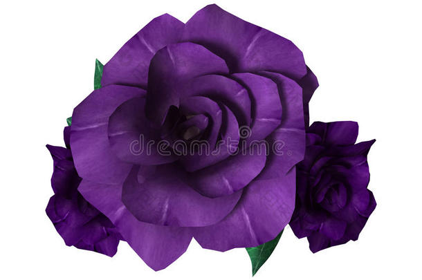 三维渲染紫色玫瑰白色
