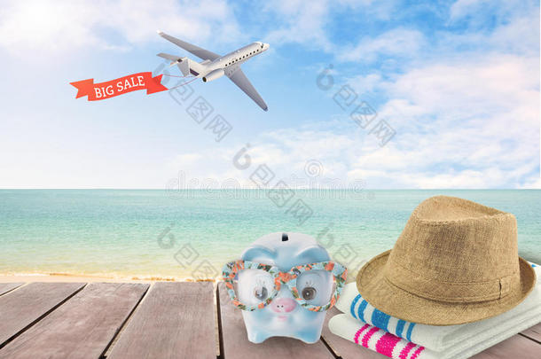 大减价旅行储蓄罐带着太阳镜在海滩上放松。