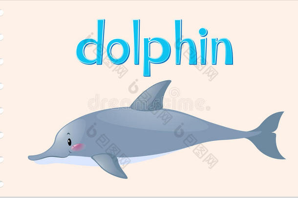 野生海豚的动物单词卡