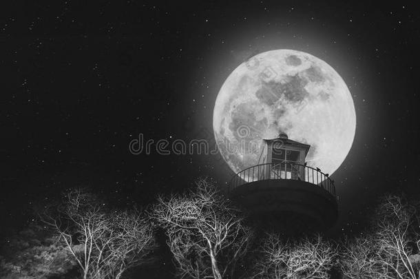 夜晚满月，灯塔在晴朗的天空上，有星星，枯枝，黑白图像
