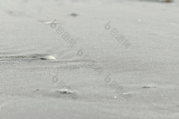 海水沙滩，质地，海滨