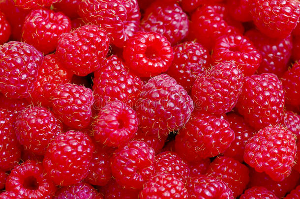 <strong>精选精选</strong>的新鲜成熟红莓。