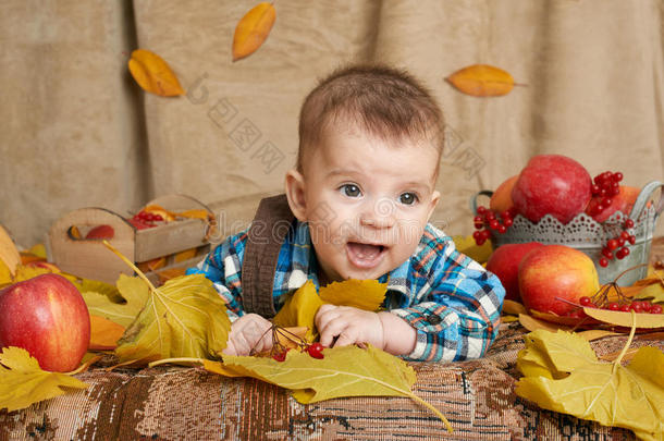 秋天的小男孩躺在黄色的落叶上，苹果，南瓜和纺织品上的装饰