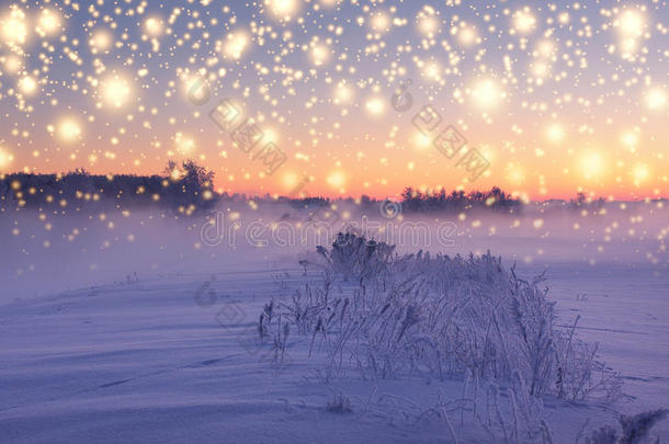 圣诞降雪被升起的太阳照亮。 下雪的冬天早晨。