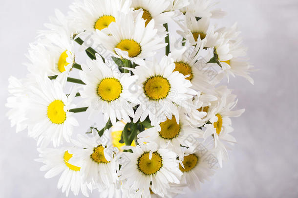 <strong>浅灰色背景</strong>的白色雏菊花束。 还有五颜六色的花。 新鲜雏菊的地方供文字使用。 花