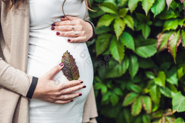 抱着肚子的孕妇。 孕妇在公园放松。