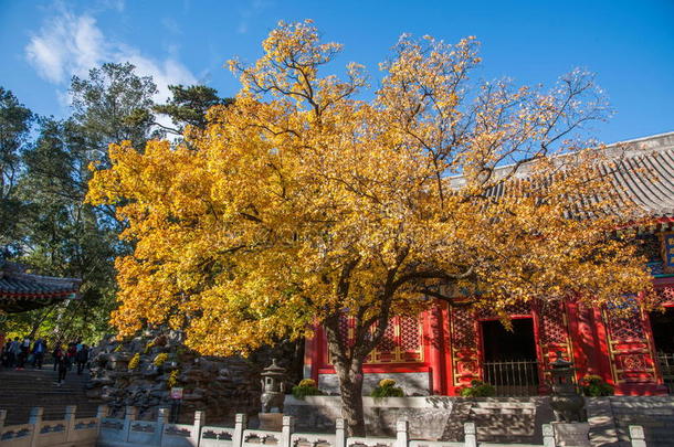 北京香山公园香山勤奋厅庭院